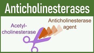 anticholinesterase poisoning [upl. by Mur]