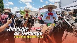 AMBIENTE EN EL JARDÍN DE JEREZ CON BANDA Y CABALLOS 2 [upl. by Repsac629]