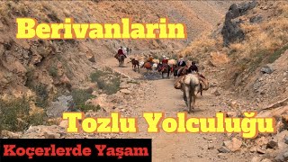 Berivanlar  Koçerler  Yaylada Yaşam  Arınmış Hayat [upl. by Asi]