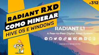 ⛏️💰 COMO MINERAR A MOEDA RADIANT RXD  PASSO A PASSO  HIVE OS E WINDOWS [upl. by Tabbatha408]