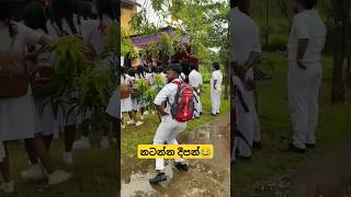 කෙල්ලෝ පවූ බන් 🤫😂 dance slmemereview  srilankanathalmeme  girldance  trending  funnydance [upl. by Alwitt]