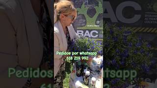 ¿Cuando trasplantar las plantas para su desarrollo Sígueme floresferrera ✅🌹 plantas [upl. by Rissa913]