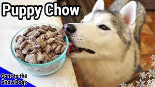 How to Make Puppy Chow for Dogs  DIY Dog Treats 114  Muddy Buddies for Dogs [upl. by Presber]