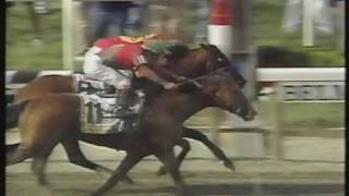 Victory Gallop Belmont Stakes 1998  Thrilling finish  Triple Crown lost by a nose [upl. by Gwyneth577]