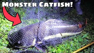 I Caught A MONSTER REDTAIL CATFISH [upl. by Yajiv]