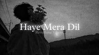 Haye Mera Dil Slowed  Reverb  Alfaaz Honey Singh [upl. by Annalla]