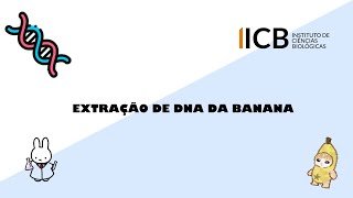 EXTRAÇÃO DE DNA DE UMA BANANA 🍌 [upl. by Gus709]