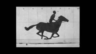 1st Movie Motion Picture  Sallie Gardner at a Gallop 1878 Eadward Muybridge  FramebyFrame [upl. by Lars]