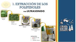 DETERMINACIÓN DE POLIFENOLES TOTALES EN ALIMENTOS POR FOLINCIOCALTEU  CURVA DE CALIBRACIÓN [upl. by Gilbertine]