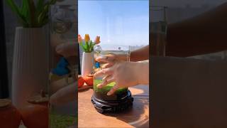 Amazing aquarium fishbowlsetup fishaquarium fishing aquariam fishtank fishbowl fishing [upl. by Taran]