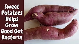 Sweet Potatoes Nutrition  Sweet Potatoes Nutrition  Sweet Potatoes Recipe [upl. by Simon]