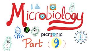 Microbiology Gram   Campylobacter jejuni Vibrio cholera Ecoli Klebsiella  Picmonic Part 9 [upl. by Faria]