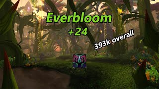 Everbloom  24  Havoc Demon Hunter  Dragonflight Season 3 [upl. by Linus862]