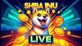 Shiba Inu Live [upl. by Nelag]