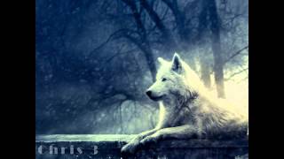 Braveheart Soundtrack  Rain  Wolf  Ambient [upl. by Jacquelynn]