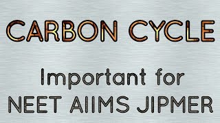 Carbon cycle in detailEcosystem [upl. by Hsara]