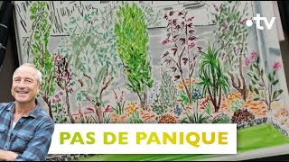 Pas de panique3 ans après mur à cacher au fond du jardin amp animer 1 platebandeSilenceça pousse [upl. by Roxana]