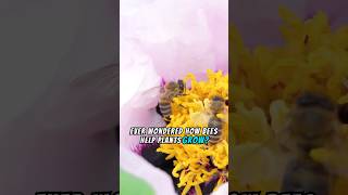 How Do Bees Pollinate 🐝 bee nature animals [upl. by Ahsoj742]