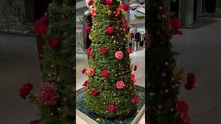 Te atreverías Con flores para esta Navidad🎄 [upl. by Auoz]