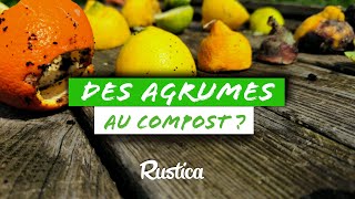 Faut il mettre les AGRUMES au COMPOST [upl. by Folger719]