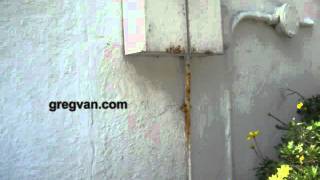 Rusting Electrical Conduit On House  Building Maintenance Tips [upl. by Lancaster151]