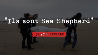 quotIls sont Sea Shepherdquot  Opération Dolphin ByCatch 2020 [upl. by Player]