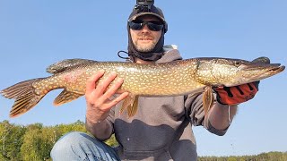 Muskies Pike Sturgeon and Bass [upl. by Landbert]