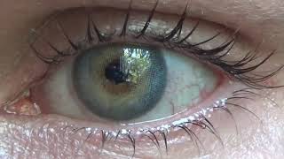 iceland gray eye share aliexpress  on hazel eyes [upl. by Renaldo]