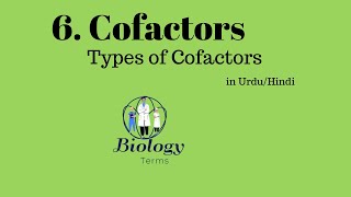 Types of Cofactors  Cofactors Class 11 Biology  Enzymes [upl. by Maer]