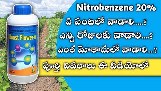 59 Nitrobenzene use in crop పత్తి పంటలో మిరప పంటలో పూత రావడానికి Nitrobenzeneplant active [upl. by Oht]