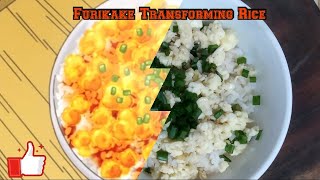 Cooking FURIKAKE  with Tanay [upl. by Haggi894]