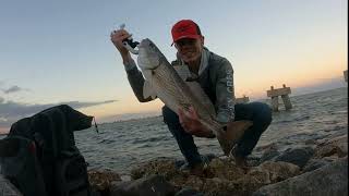 Fishing in Mayport Florida St Johns River Inlet [upl. by Ahtanoj]