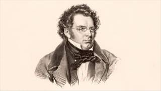 F Schubert VIII simfonija u h  molu Nedovršena I stavak Allegro moderato ulomak [upl. by Lacagnia508]