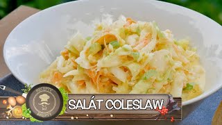 SALÁT COLESLAW POZOR HOLANDSKÁ HVĚZDA PADÁ PŘÍMO NA VÁŠ STŮL [upl. by Xam]