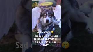 Faze rug and brawadis surprised shermen of his dog picture that pass away and subscribe for more [upl. by Carlye330]