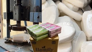 Premium Quality Soap Manufacturing Process in Pakistan  StepbyStep Guide [upl. by Nednal]