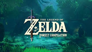 Relaxing Zelda Music in the Forest [upl. by Eugenie]