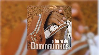 Dominguinhos feat Jorge de Altinho  quotNem Se Despediu de Mimquot O Forró do Dominguinhos2003 [upl. by Ahselat]