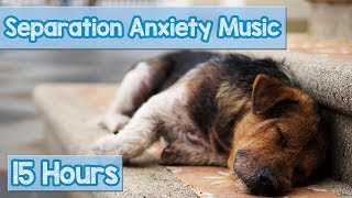 15 HOURS of Deep Separation Anxiety Music for Dog Relaxation Helped 4 Million Dogs Worldwide NEW [upl. by Brok]