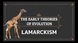 LAMARCKS THEORY OF EVOLUTION [upl. by Hecklau]