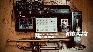 Trumpet Improvisation Hologram Electronics Microcosm amp Gamechanger Audio PLUS pedal [upl. by Donelle]