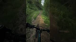 Exploring Kabankalan city natural mtb trails [upl. by Ahsilahk]