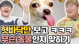 혓바닥만 보고 무슨 동물인지 맞추기 ㅋㅋㅋㅋㅋ 개병맛 상위 1프로만 맞춘다는 퀴즈게임  공대생 변승주 [upl. by Hacissej]