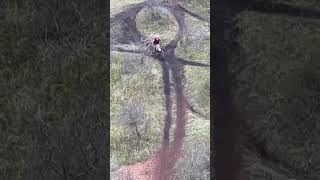 Wheelie up a hill at Broxburn bing [upl. by Henebry]