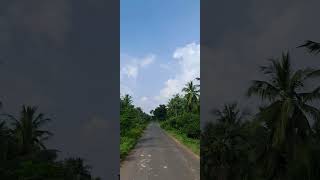 Y kotha palli Villagey kothapallitravel india konaseema village greenery shorts telugu [upl. by Doreg]