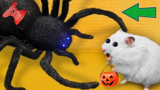 🎃 Halloween Hamster Maze 🐹 Escapes from Scary Prison [upl. by Harwill323]