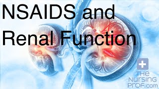 NSAIDS and Renal Function [upl. by Ravaj]