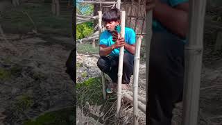 Kis colour ki chaddi pahne Ho dinesh up comedy funny comedy video short video jabardast comedy [upl. by Bindman695]