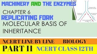 PART11 REPLICATING FORKCHAPTER 6 NCERT CLASS 12TH BIOLOGY [upl. by Anniken]