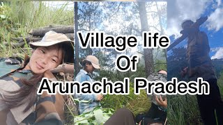 Real Rural village of Arunachal Pradesh remote village life of Arunachal village life of Kibithu [upl. by Attezi474]